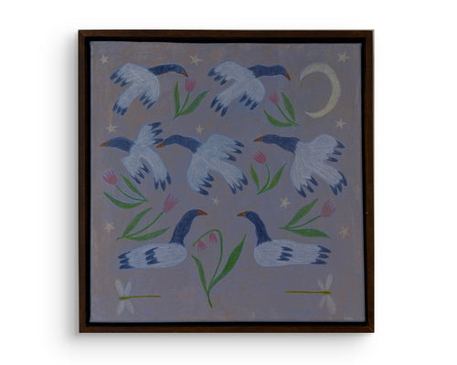 Can’t Sleep? Try Counting Magpie Geese