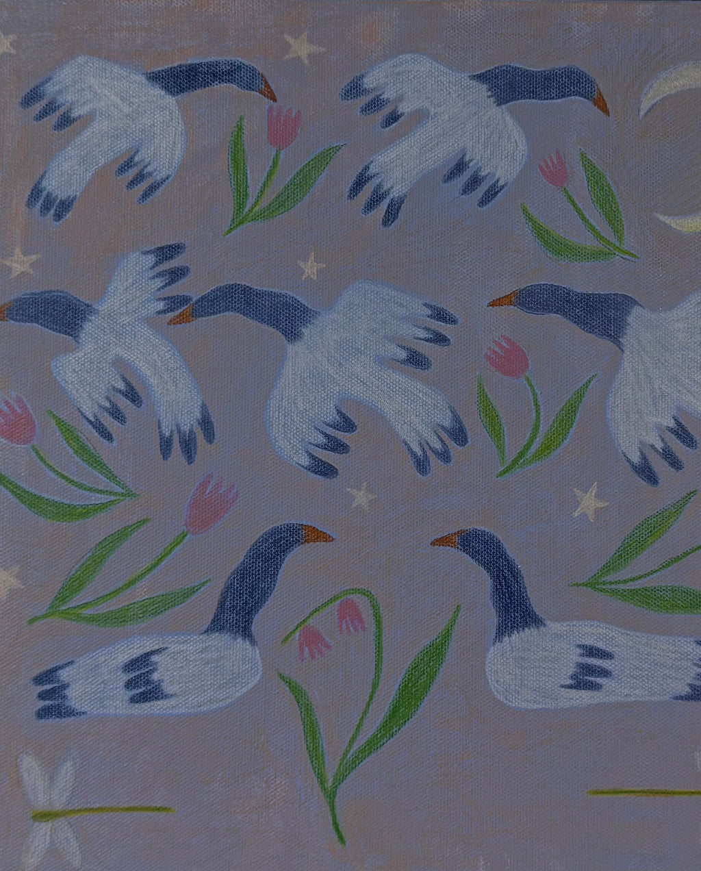 Can’t Sleep? Try Counting Magpie Geese