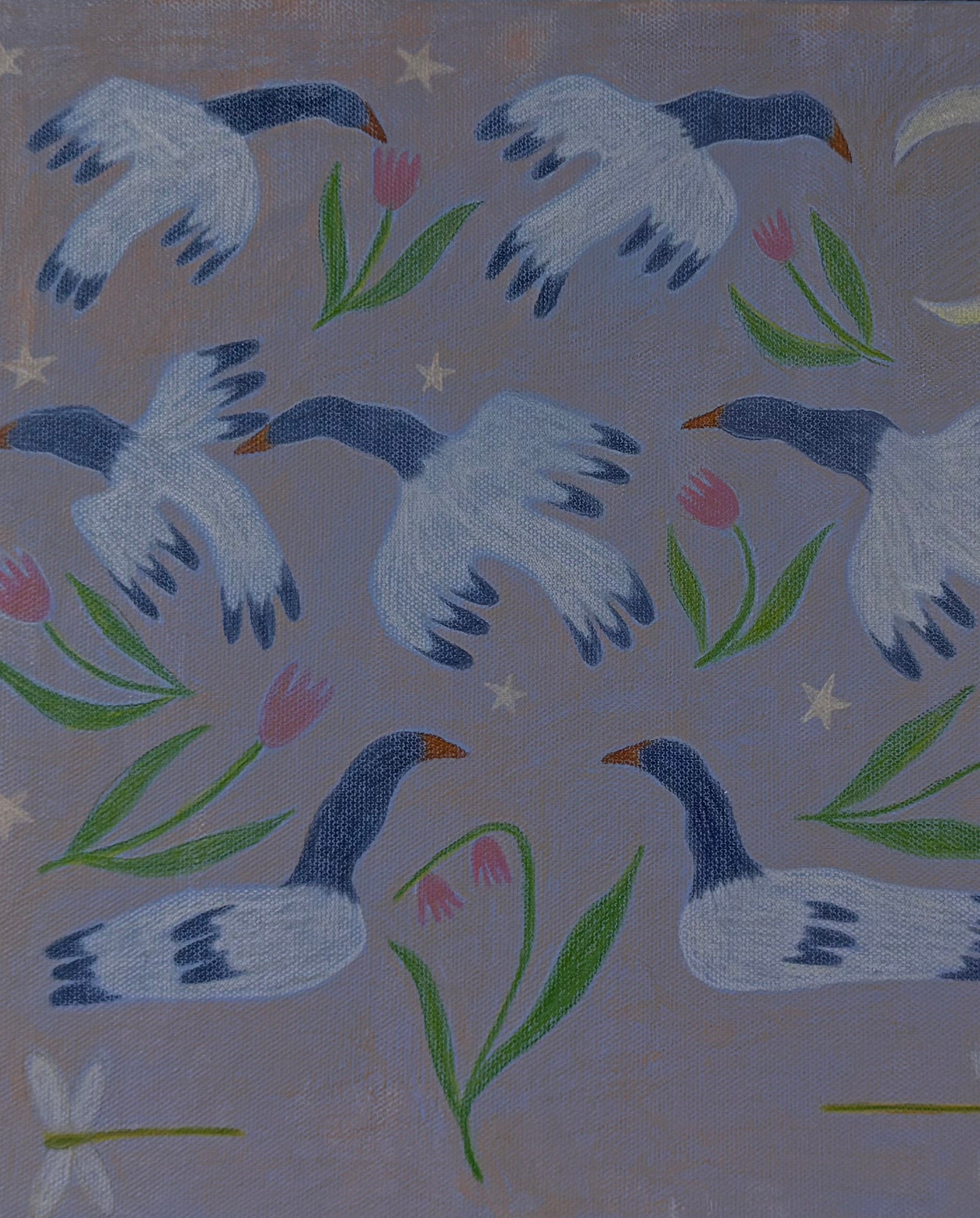 Can’t Sleep? Try Counting Magpie Geese