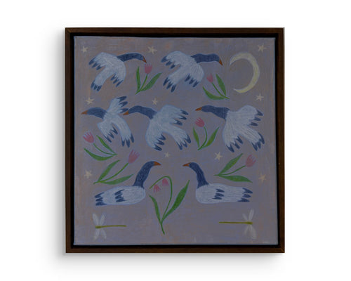 Can’t Sleep? Try Counting Magpie Geese
