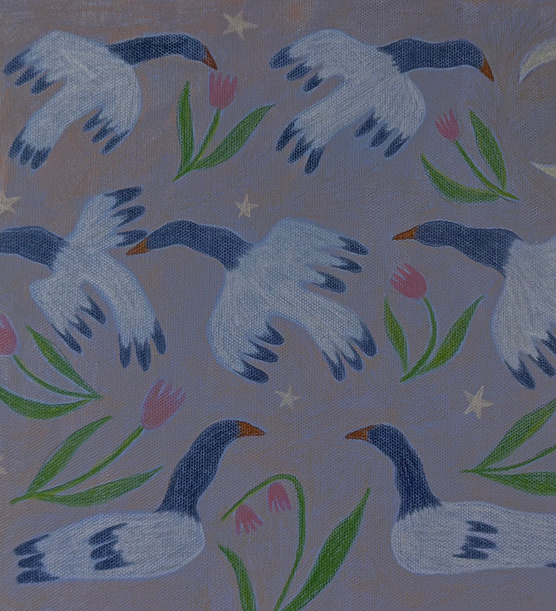 Can’t Sleep? Try Counting Magpie Geese